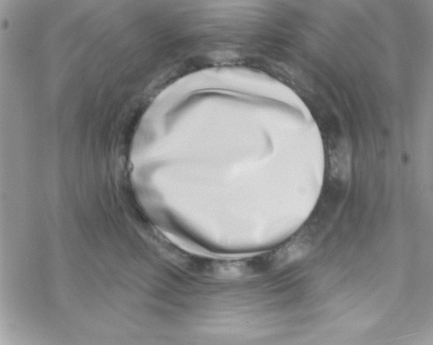 X0000069400618200606091743