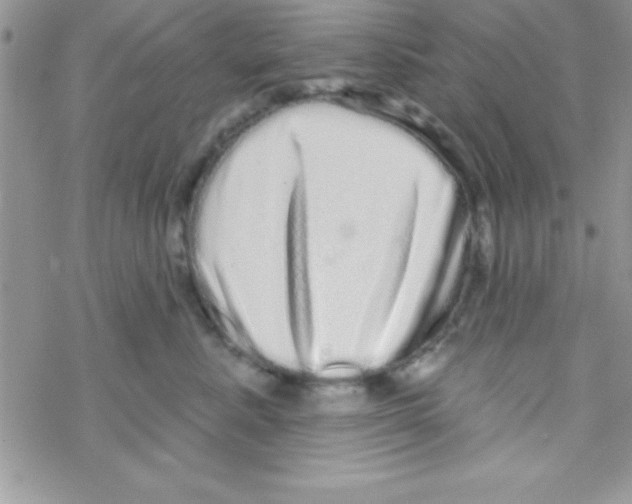 X0000069400619200606091743