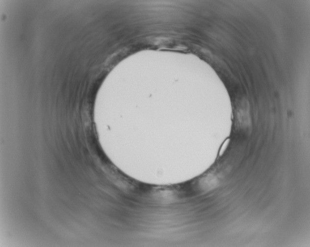 X0000069400620200606091743