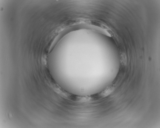 X0000069400621200606091743