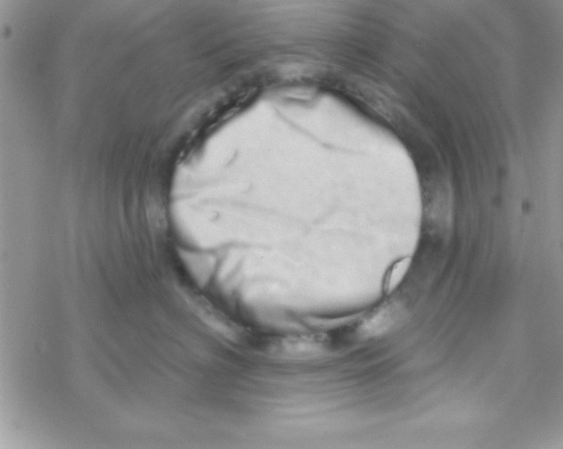 X0000069400622200606091743