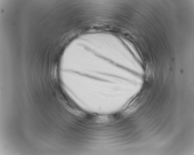 X0000069400623200606091743