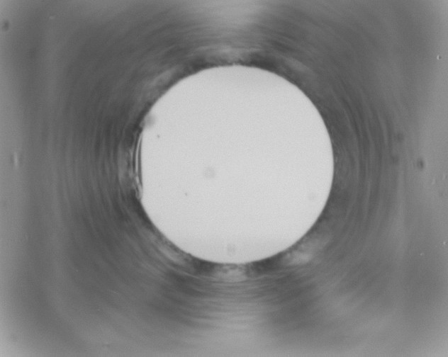 X0000069400624200606091743