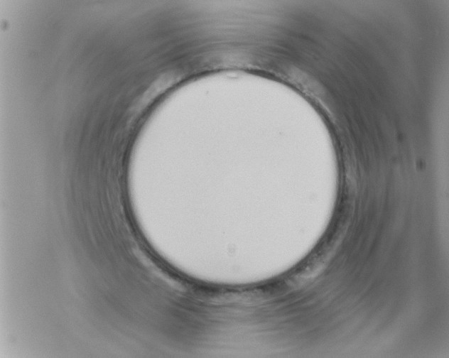 X0000069400625200606091742