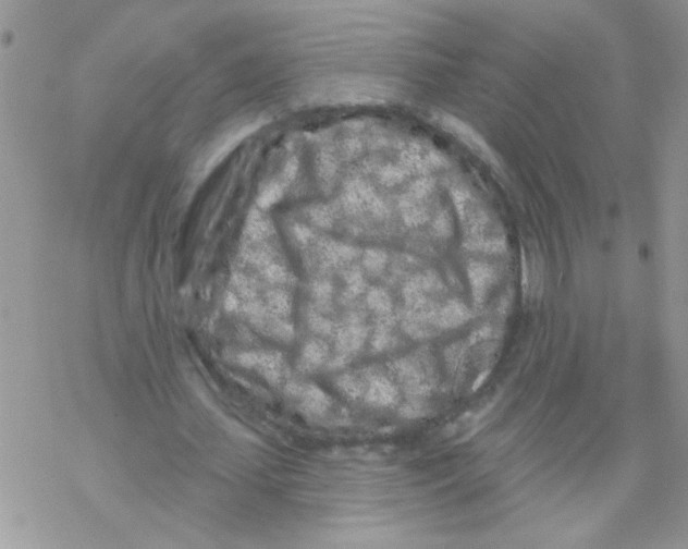 X0000069400627200606091742