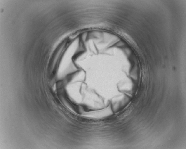 X0000069400628200606091742