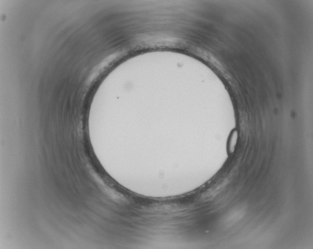 X0000069400629200606091742