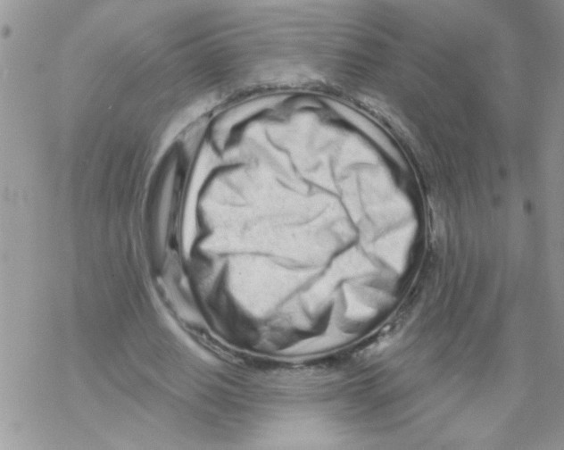 X0000069400630200606091742