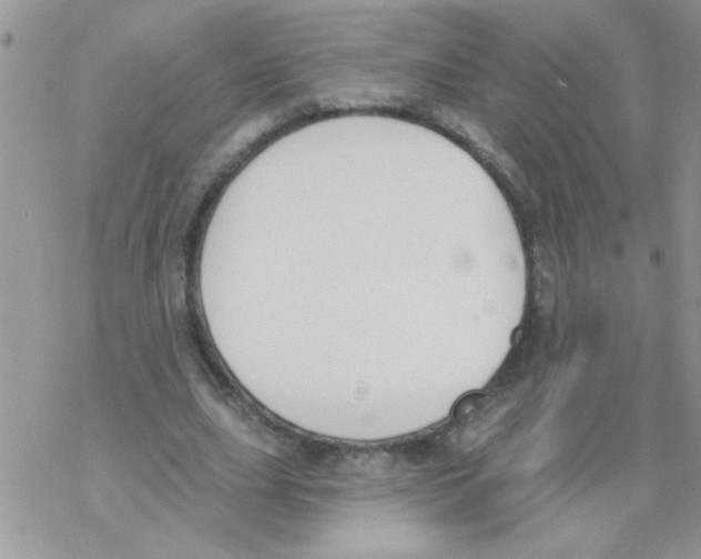 X0000069400631200606091742