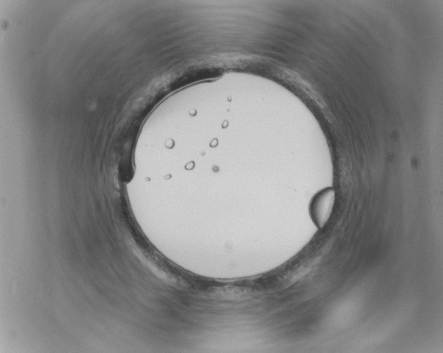 X0000069400633200606091742