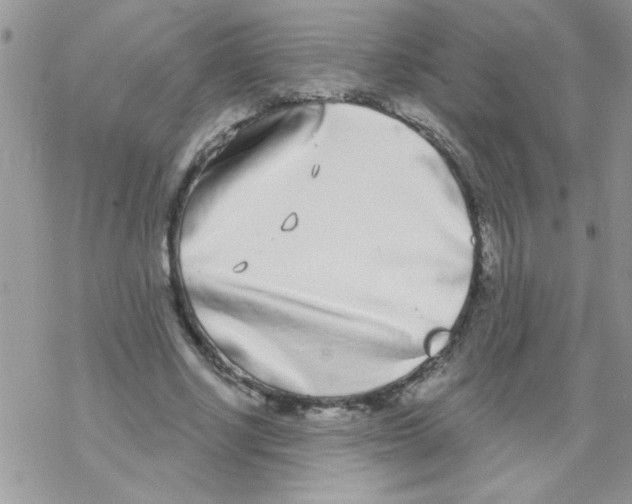 X0000069400634200606091742