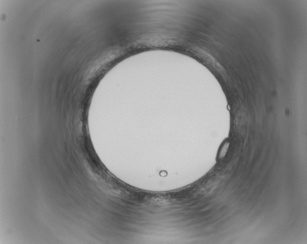 X0000069400635200606091742