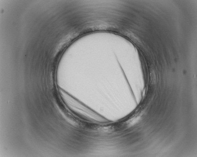 X0000069400638200606091742