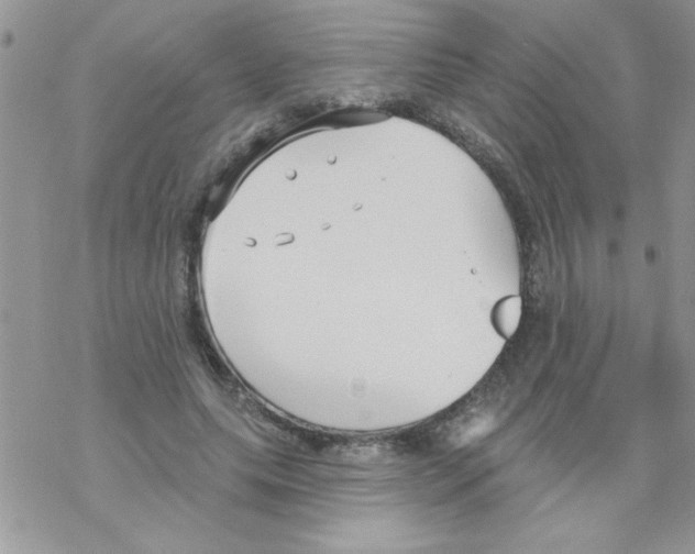 X0000069400639200606091742