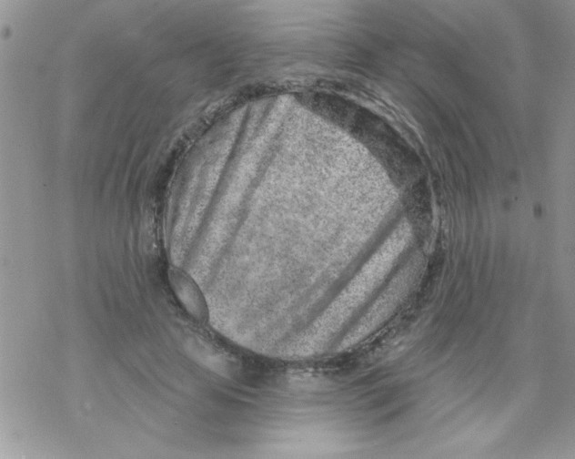 X0000069400641200606091742