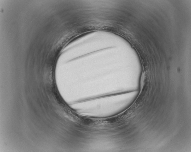 X0000069400642200606091742