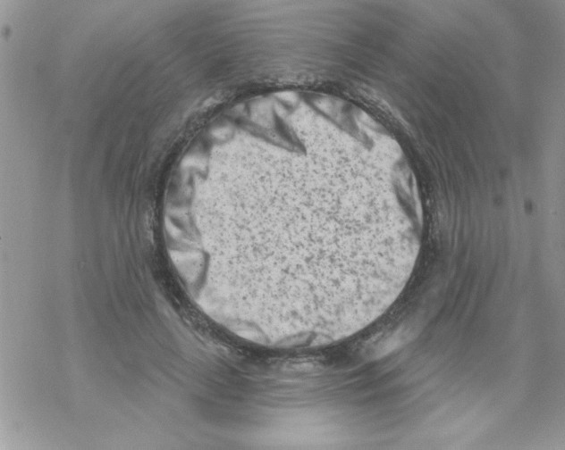 X0000069400643200606091742