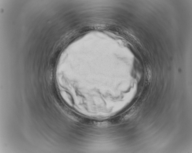 X0000069400645200606091742