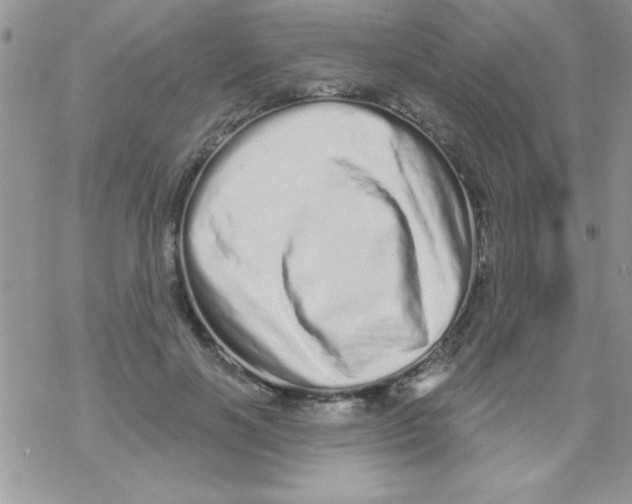 X0000069400646200606091742