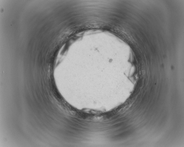 X0000069400647200606091742