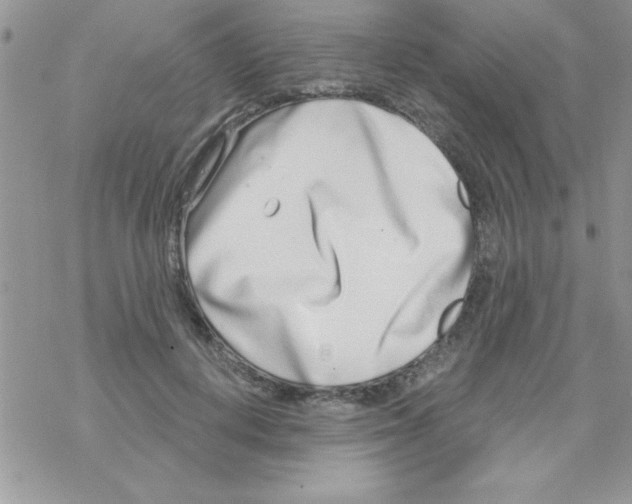 X0000069400648200606091743