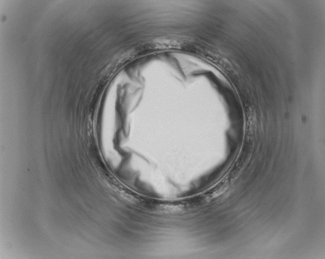 X0000069400649200606091743