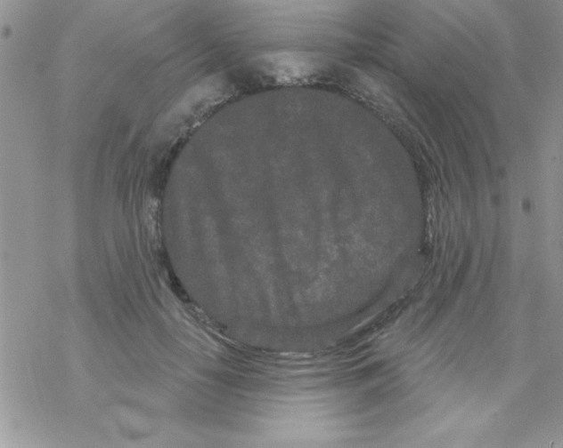 X0000069400650200606091743