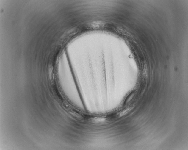 X0000069400651200606091743