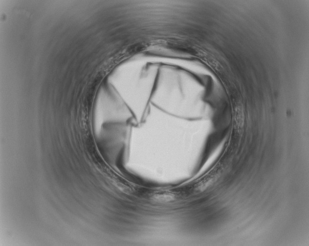 X0000069400653200606091743