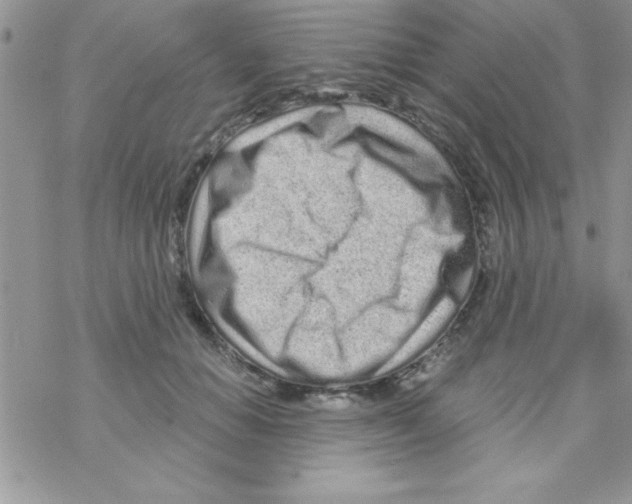 X0000069400654200606091743