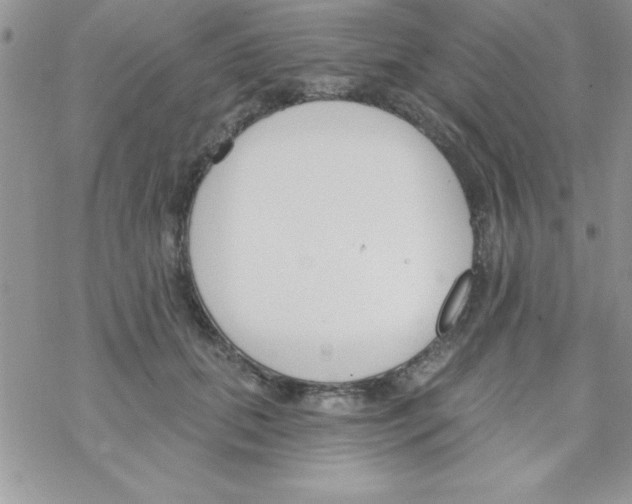 X0000069400655200606091743