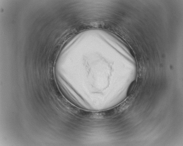 X0000069400656200606091743