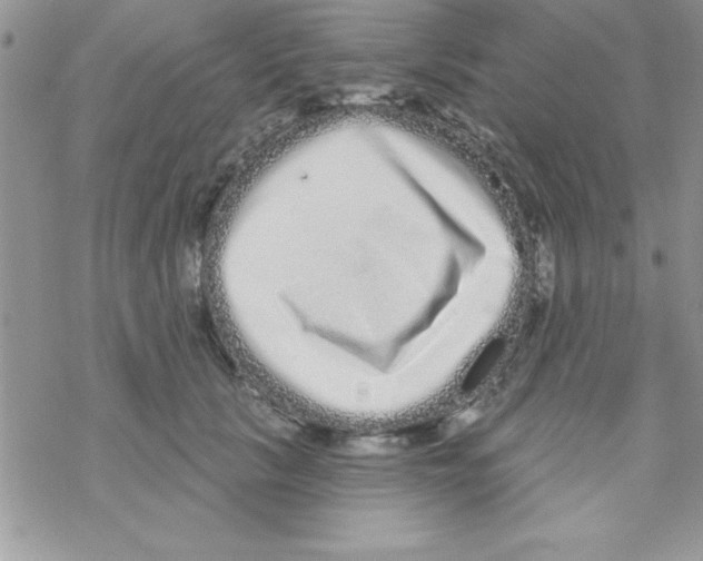 X0000069400657200606091743