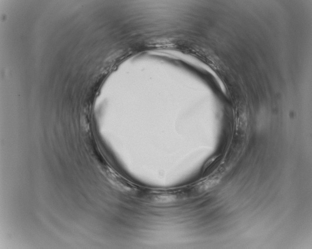 X0000069400658200606091743