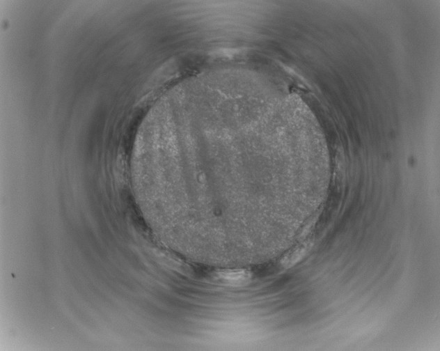 X0000069400659200606091743