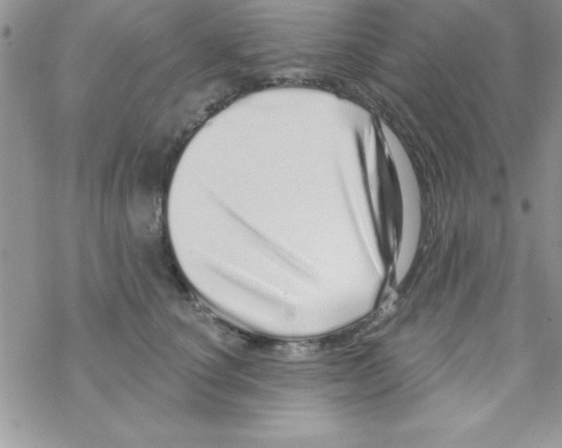 X0000069400660200606091743