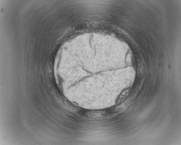 X0000069400661200606091743