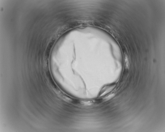 X0000069400662200606091743