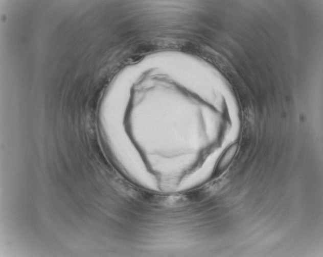 X0000069400663200606091743