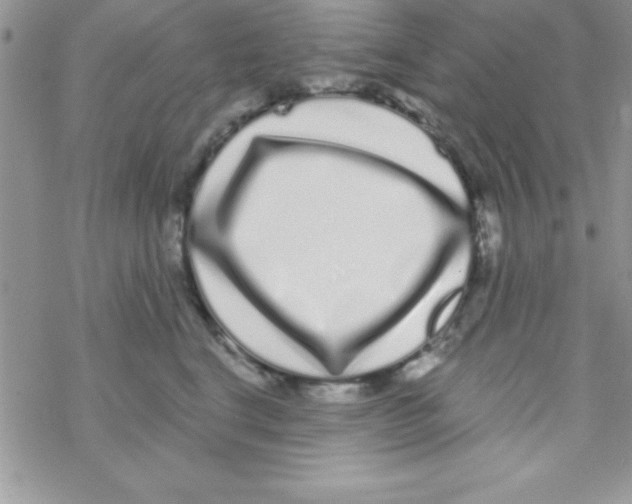 X0000069400664200606091743