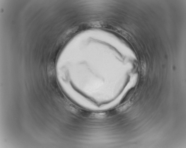 X0000069400665200606091743