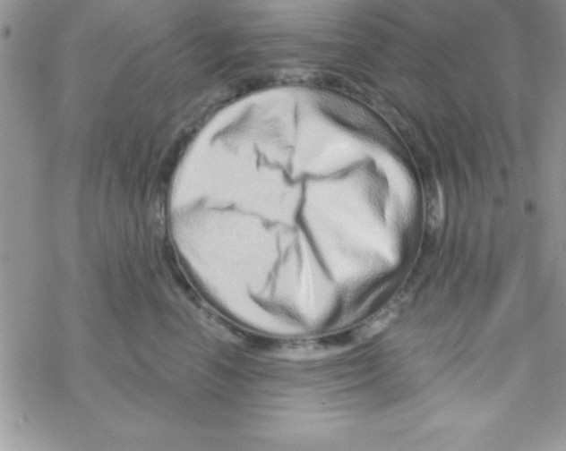 X0000069400666200606091743