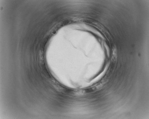 X0000069400667200606091743