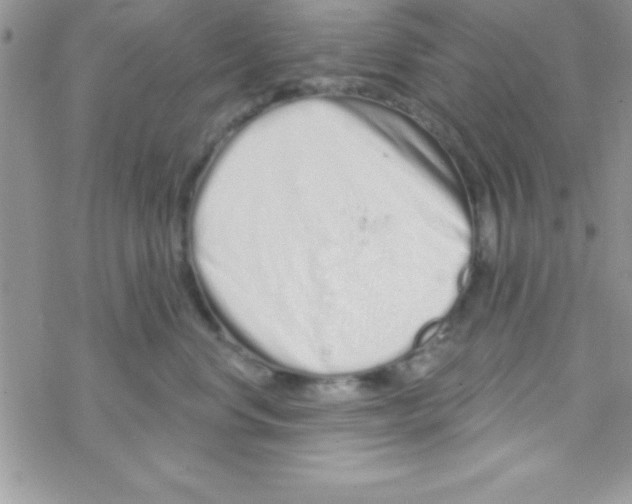 X0000069400668200606091743