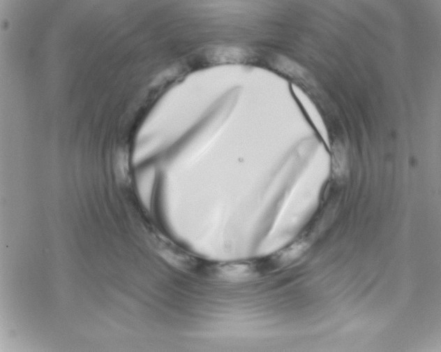 X0000069400669200606091743