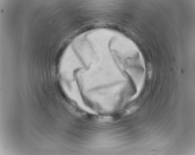 X0000069400670200606091743