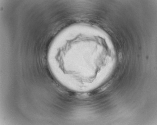 X0000069400671200606091743