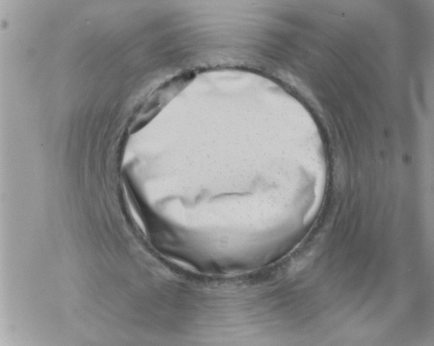 X0000069400673200606091742