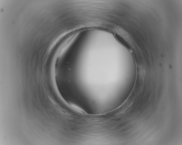 X0000069400676200606091742