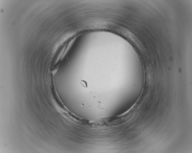 X0000069400677200606091742